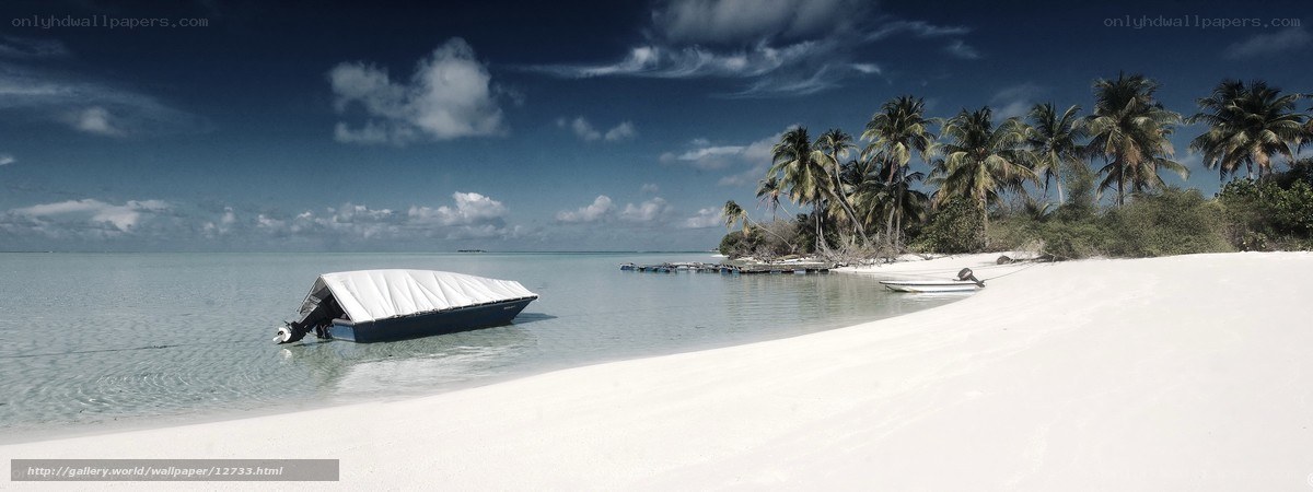 tropical beach with boat