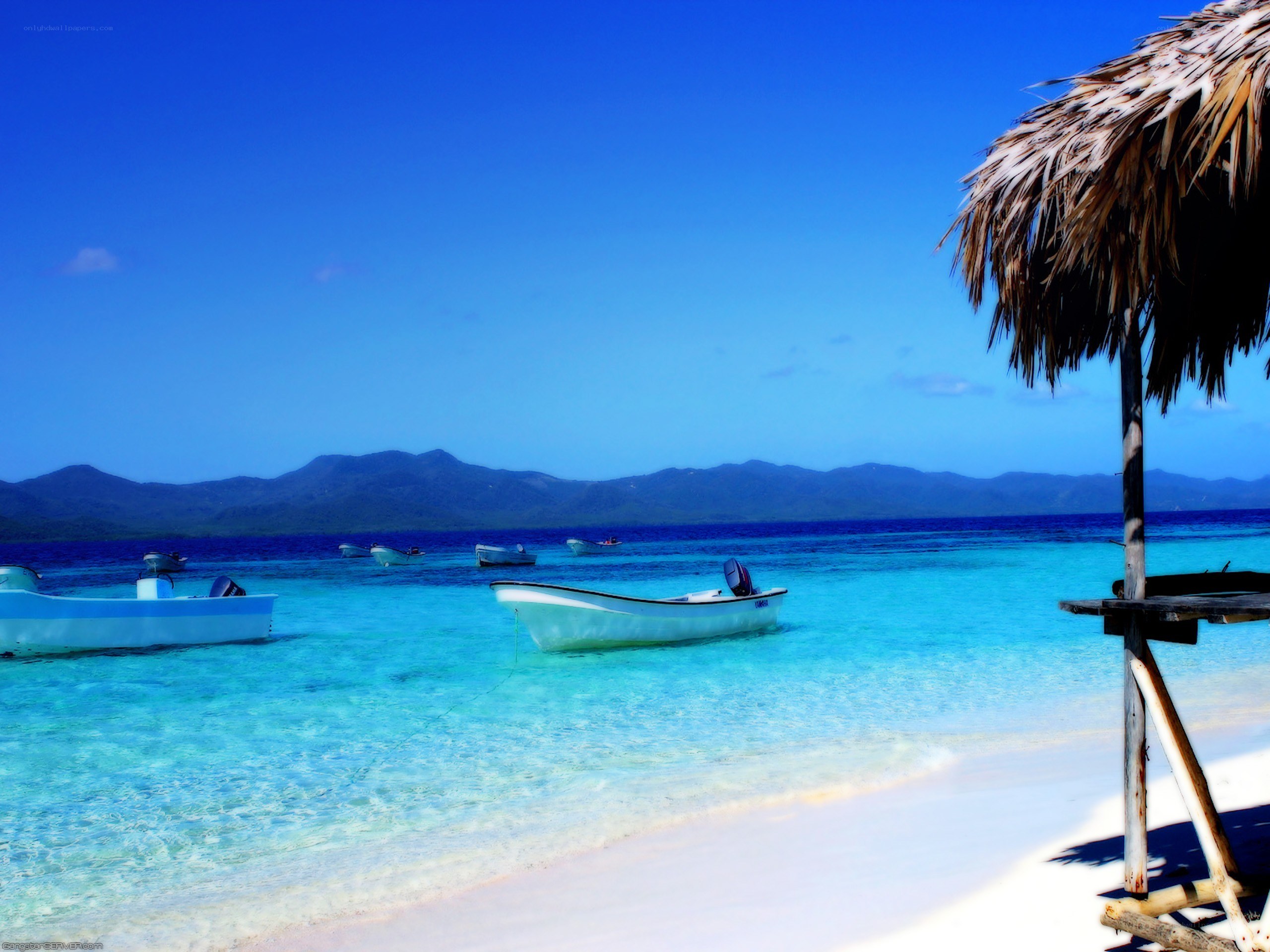 tropical beach with boats