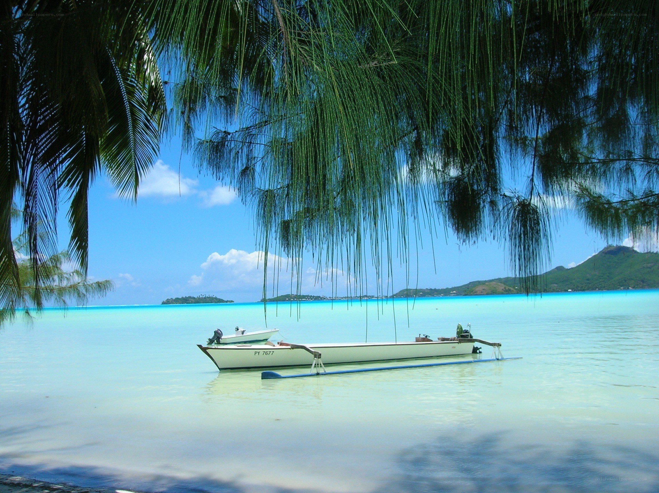tropical beach with boats