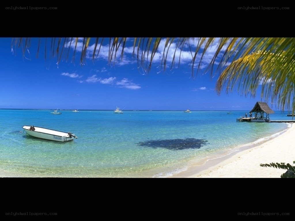 tropical beach with boats
