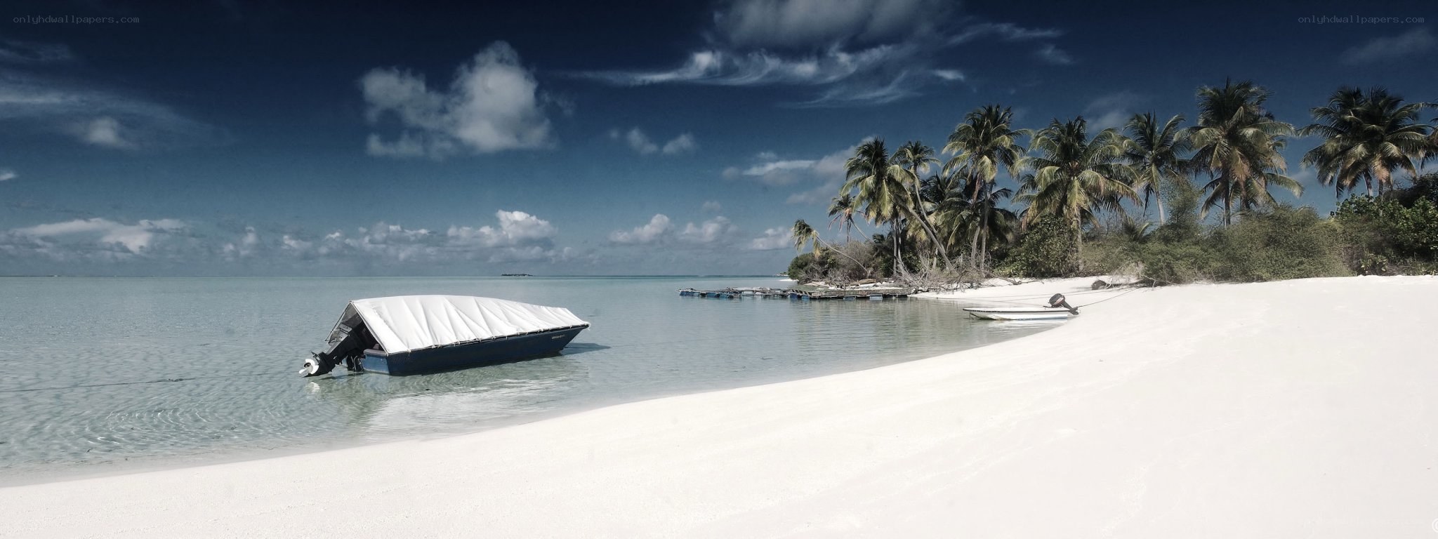 tropical beach with boats