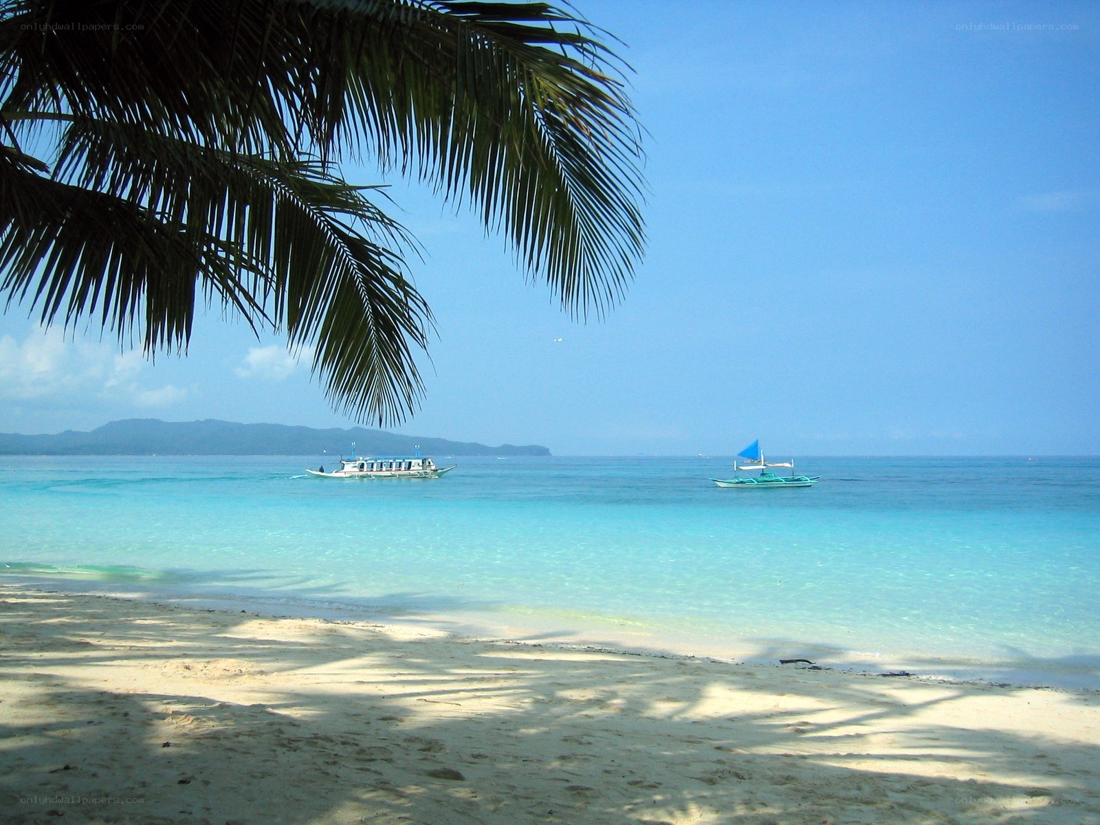 Tropical beach with boats