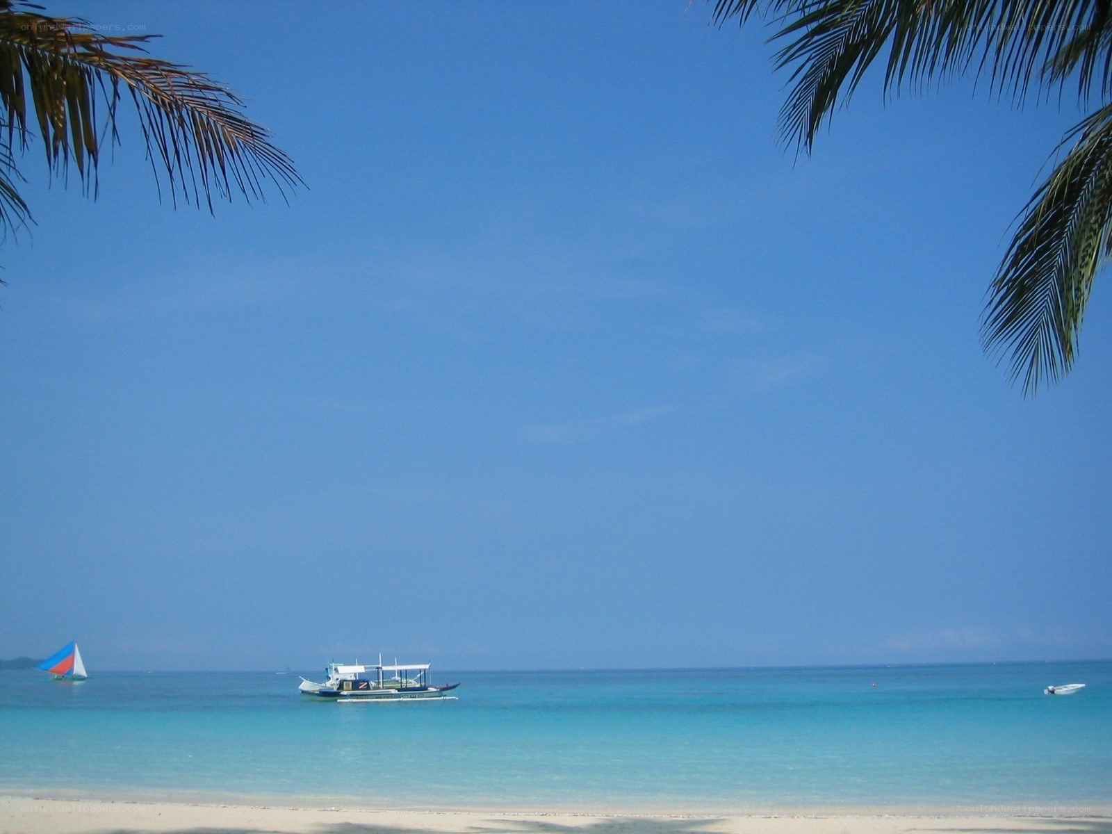 tropical beach with boats