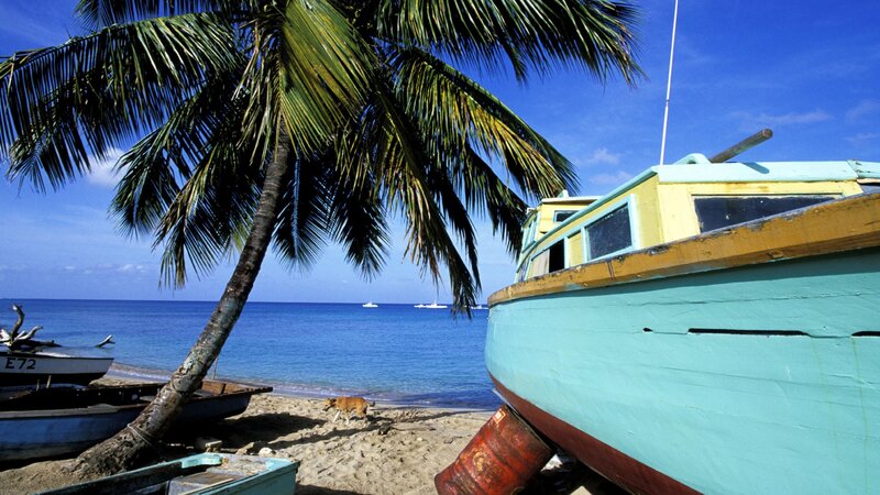 tropical beach with boats and palm tree