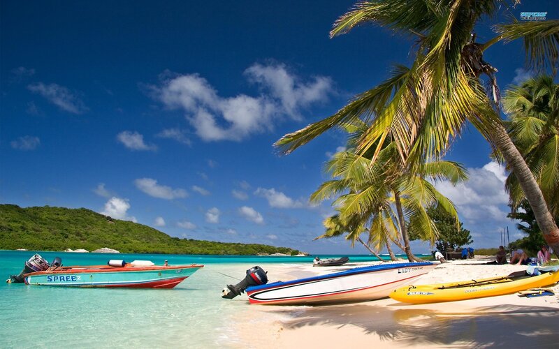 tropical beach with boats and palm trees