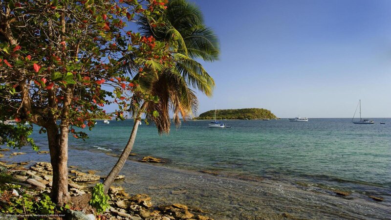 Tropical Beach with Boats — Blue, Serene