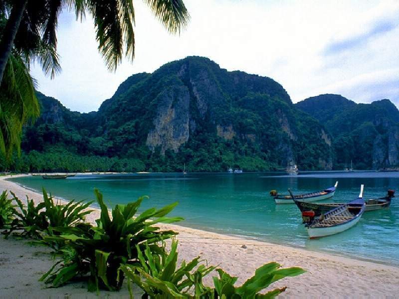 Tropical Beach with Boats — Green, Serene