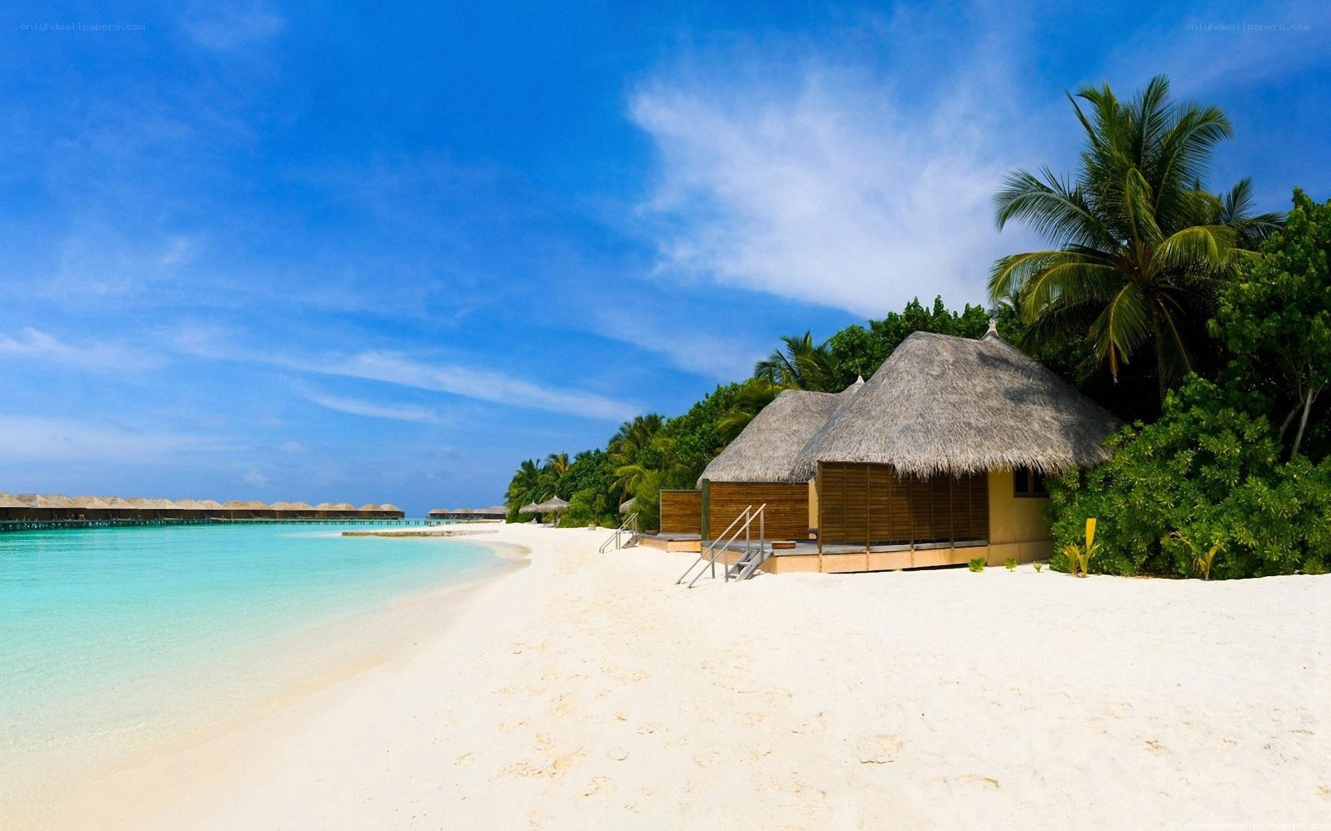 Tropical beach with bungalows