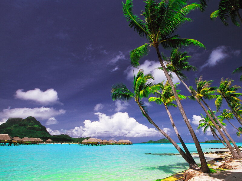Tropical Beach with Bungalows — Blue, Serene, Afternoon, Photograph, Palm Trees