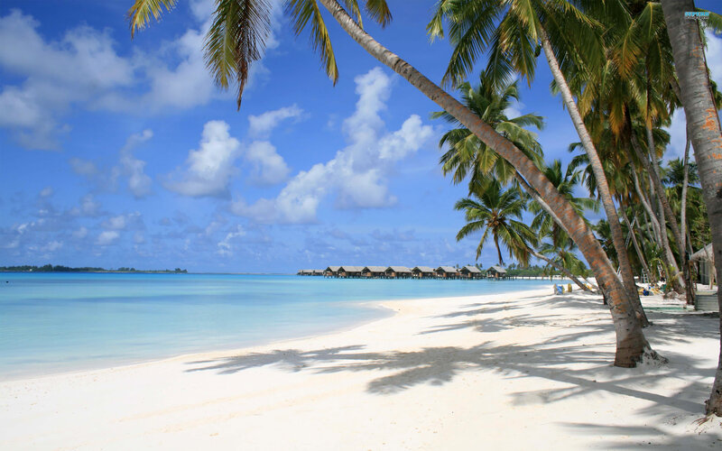 Tropical Beach with Bungalows — Blue, Serene