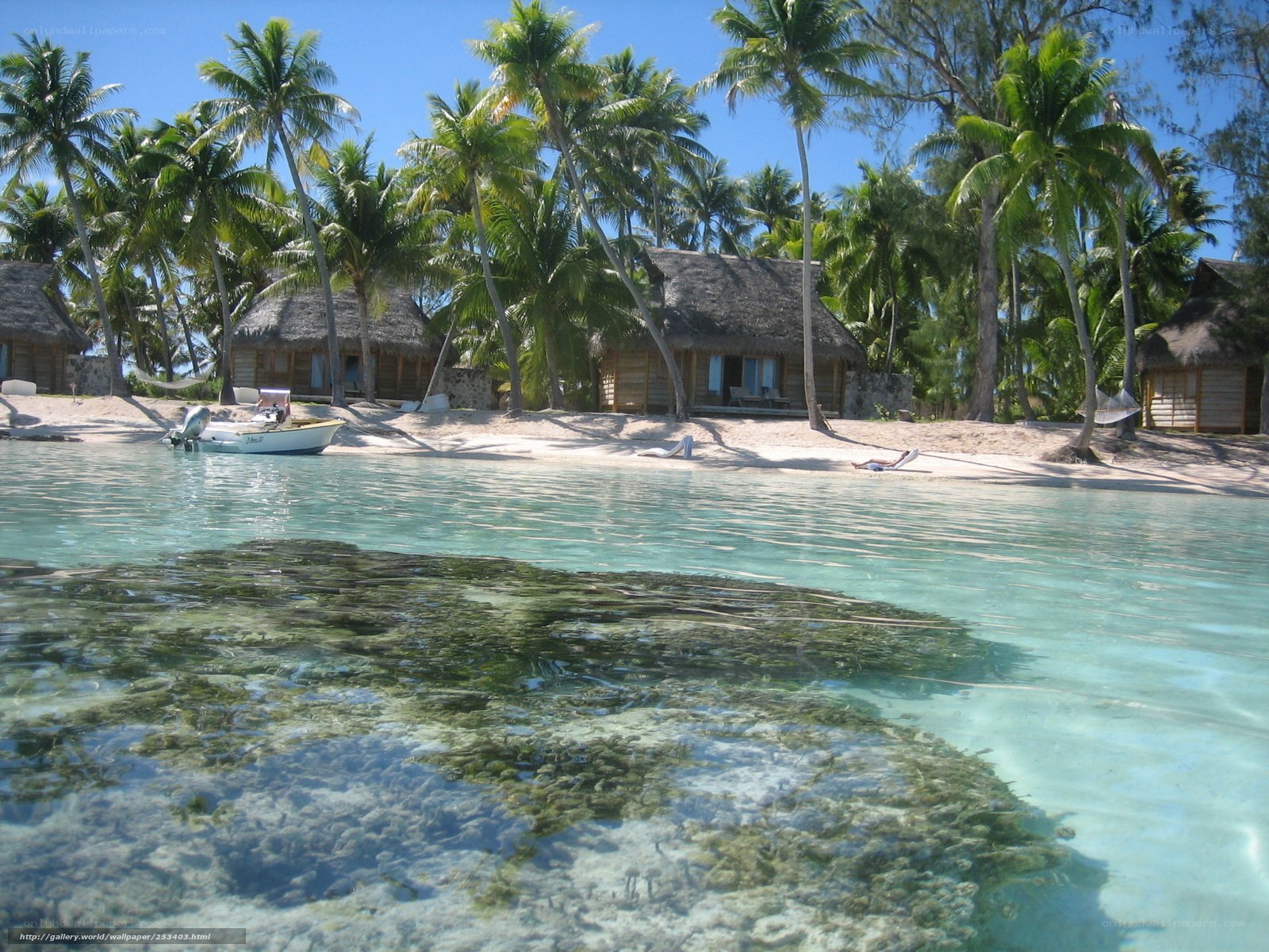 tropical beach with bungalows