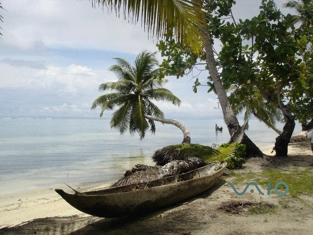 tropical beach with canoe
