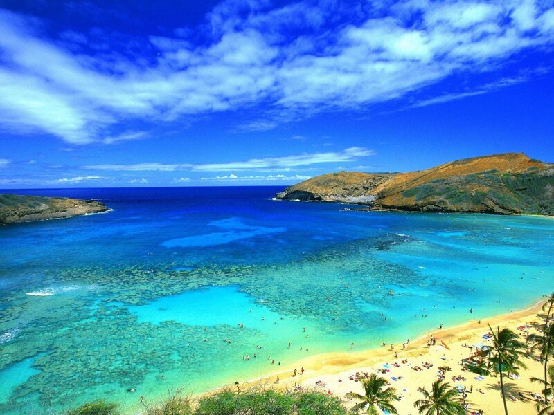 tropical beach with clear blue water
