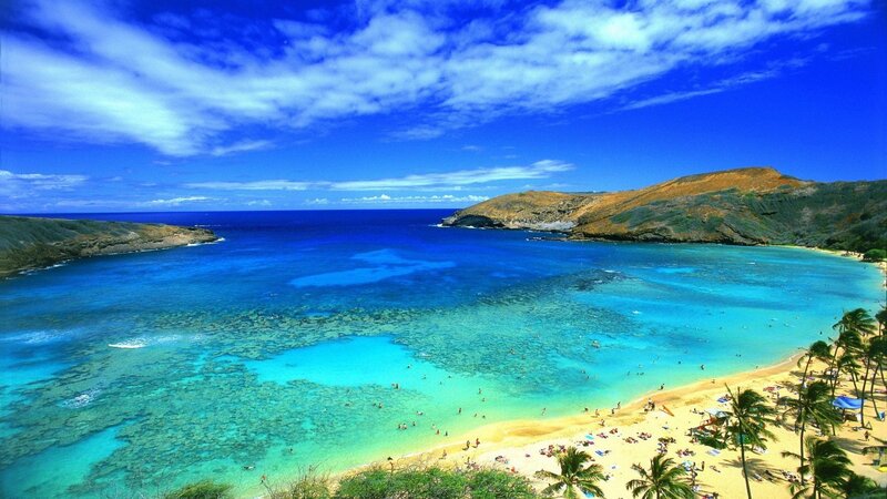 tropical beach with clear blue water