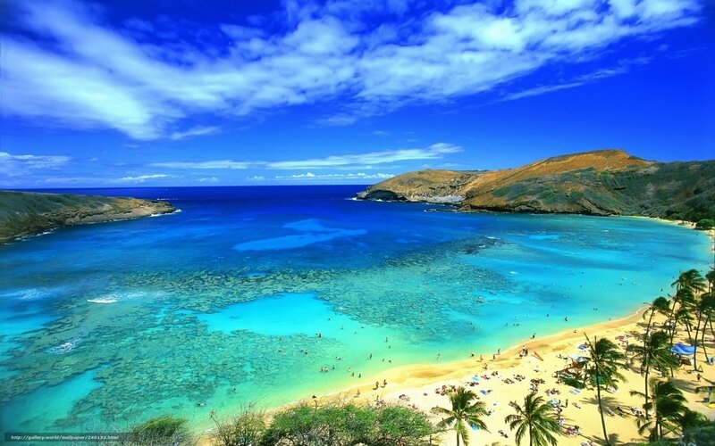 tropical beach with clear blue water