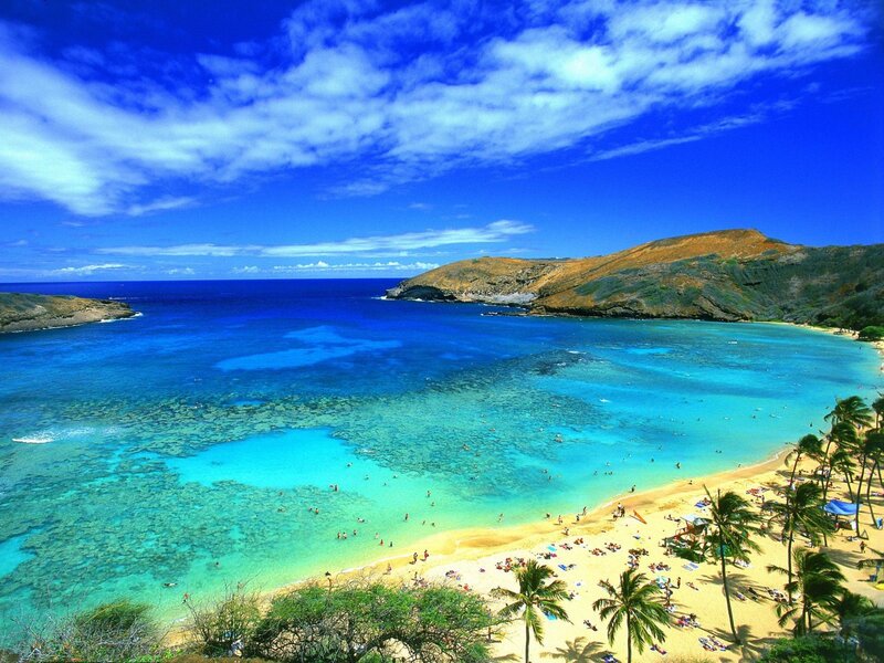 tropical beach with clear blue water