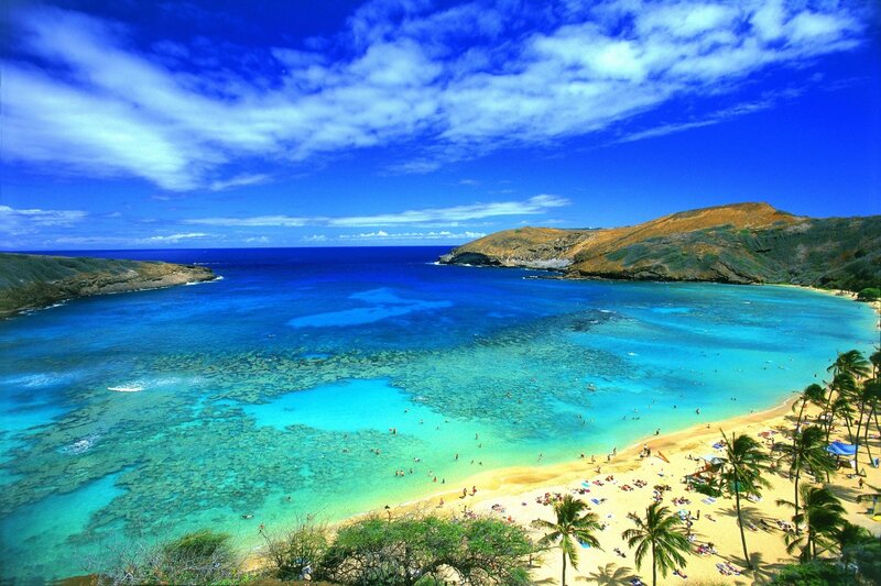 tropical beach with clear blue water