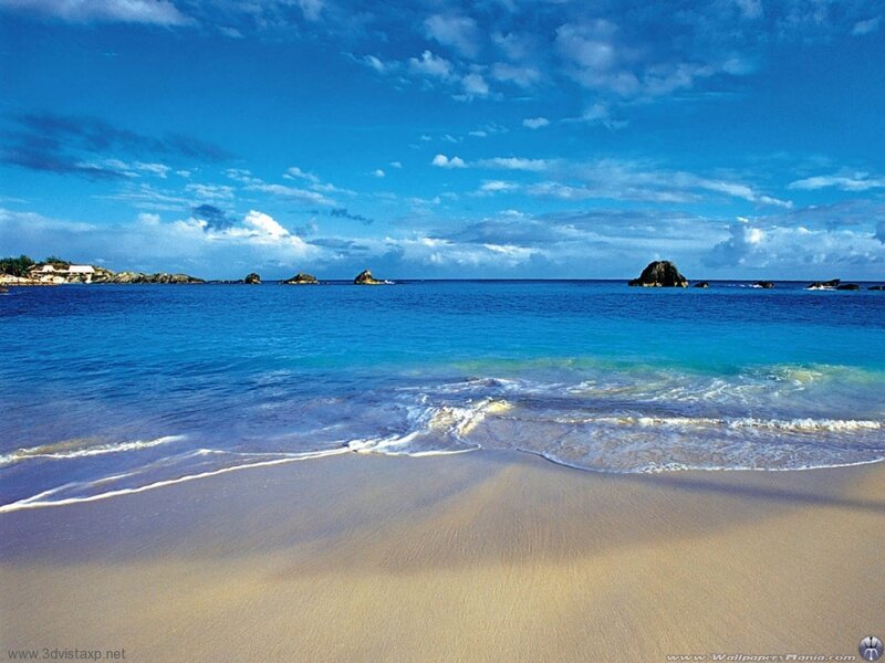 tropical beach with clear blue water