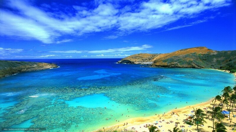 tropical beach with clear blue water
