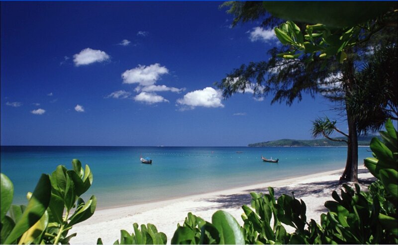 tropical beach with clear blue water