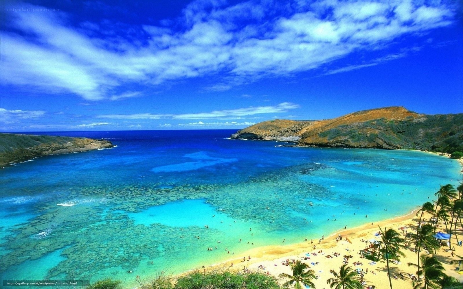 tropical beach with clear blue water