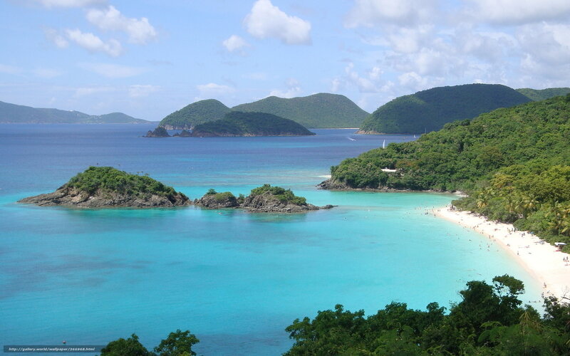 tropical beach with clear blue water