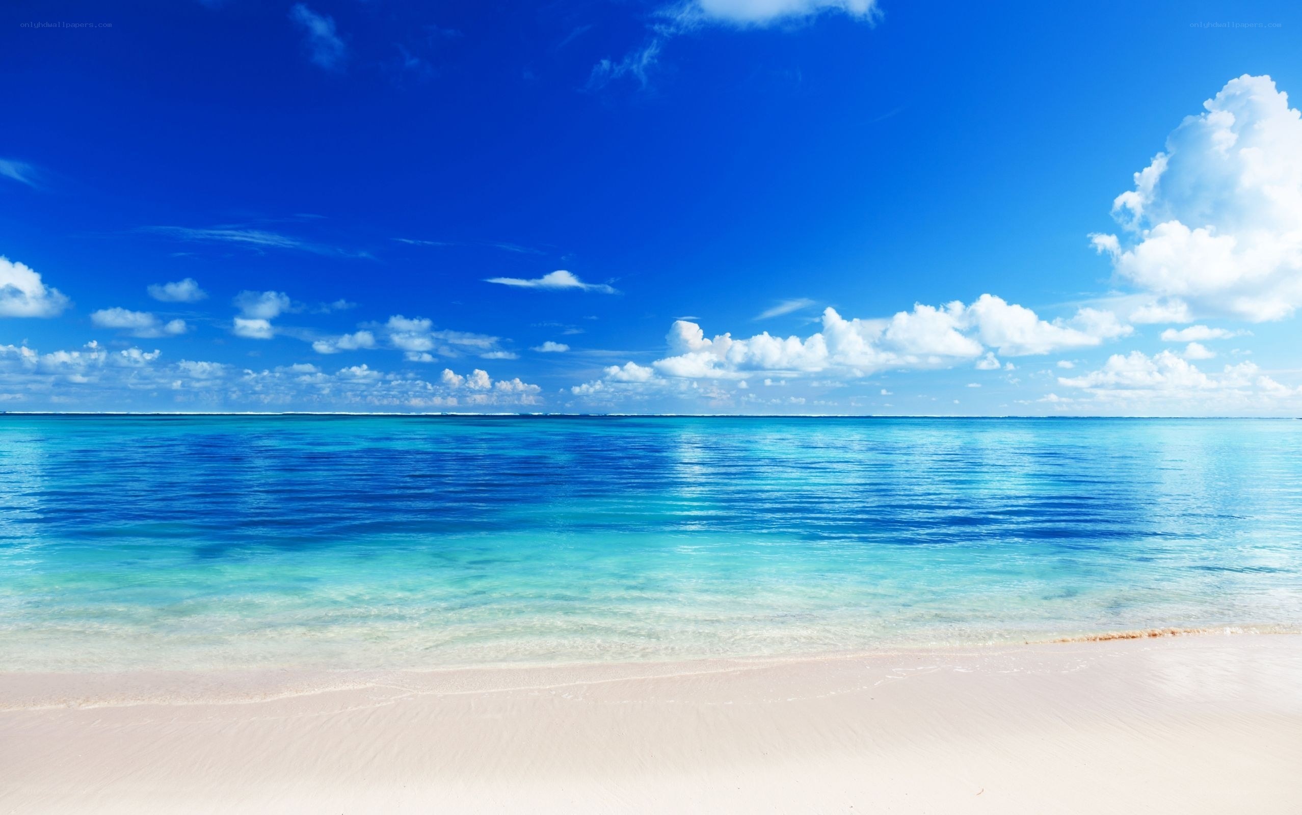 tropical beach with clear blue water
