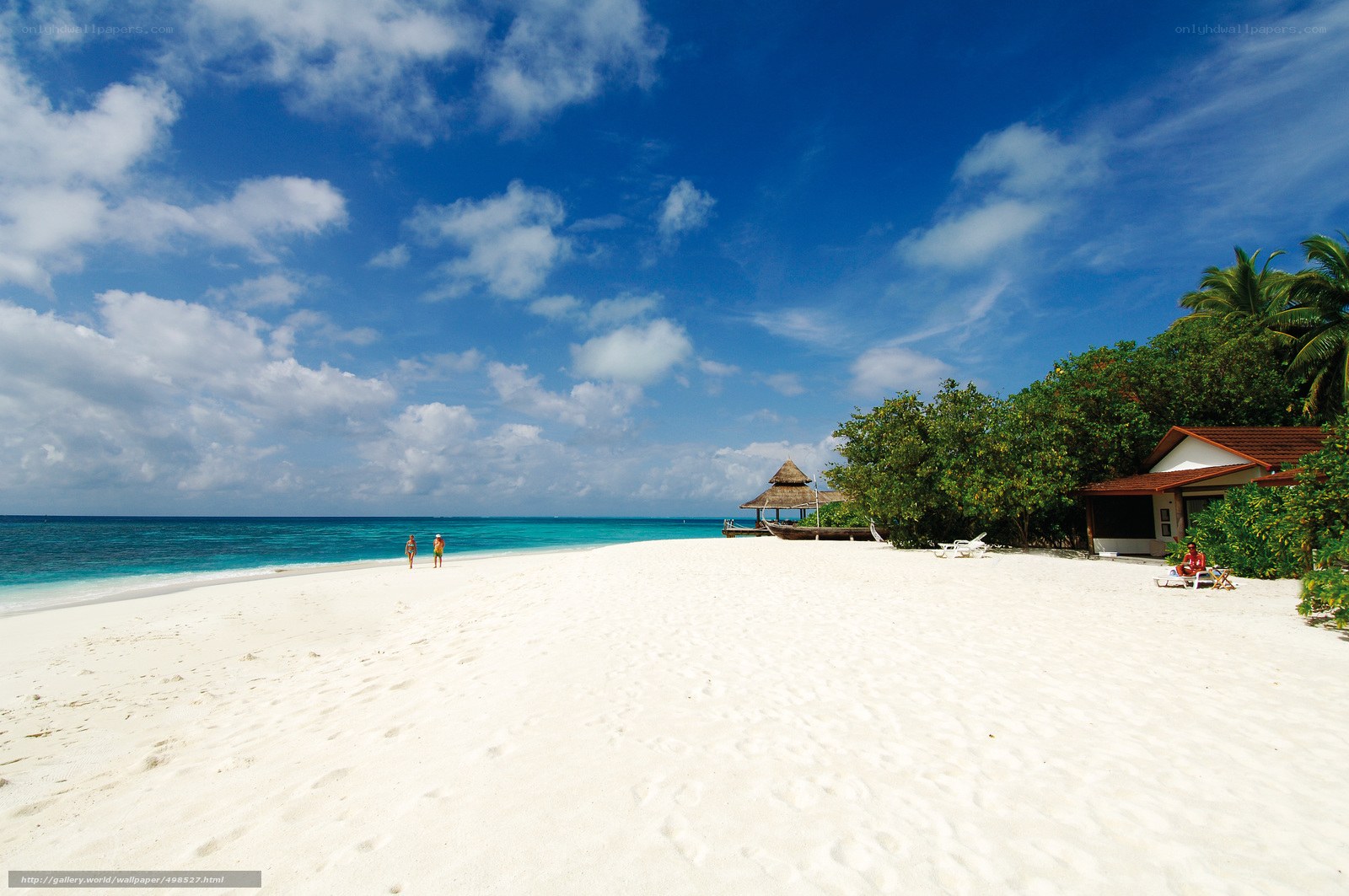 tropical beach with clear skies