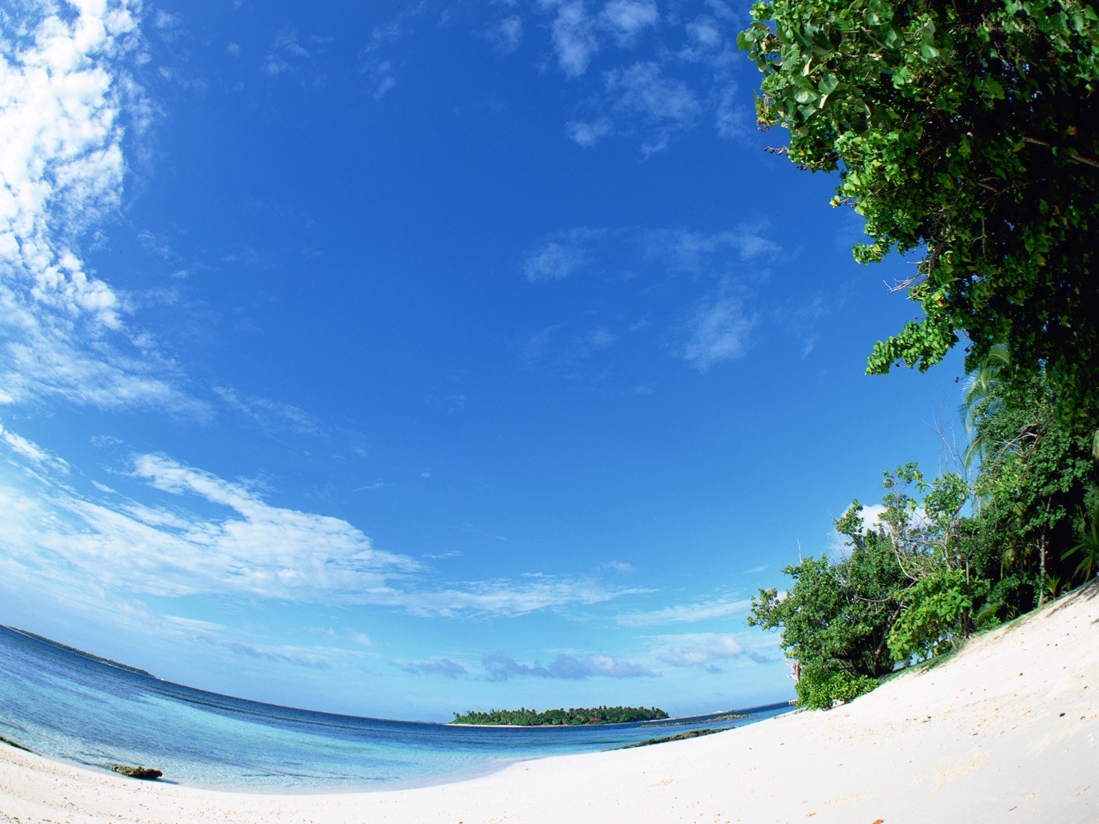 tropical beach with clear sky