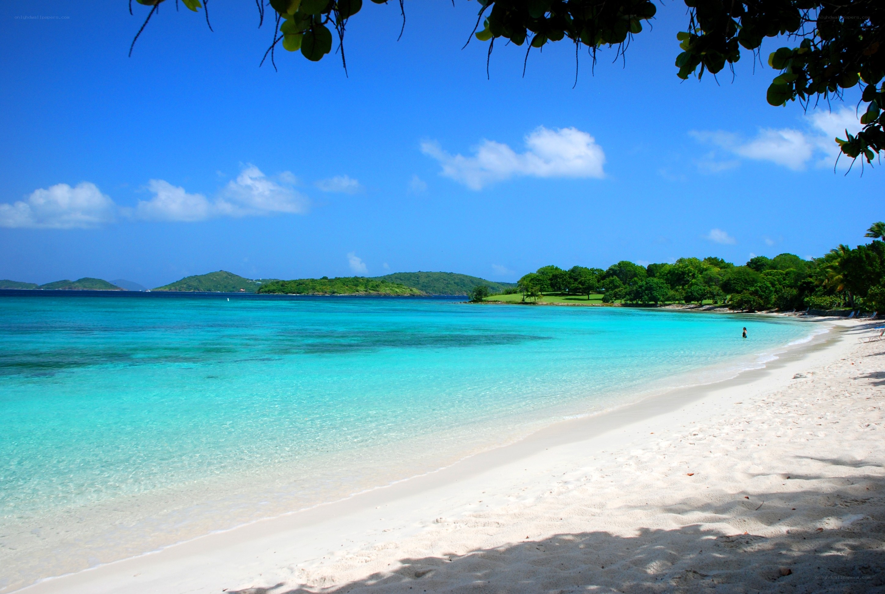 tropical beach with clear turquoise water