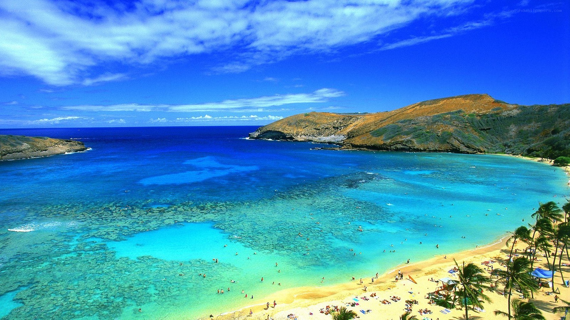tropical beach with clear water