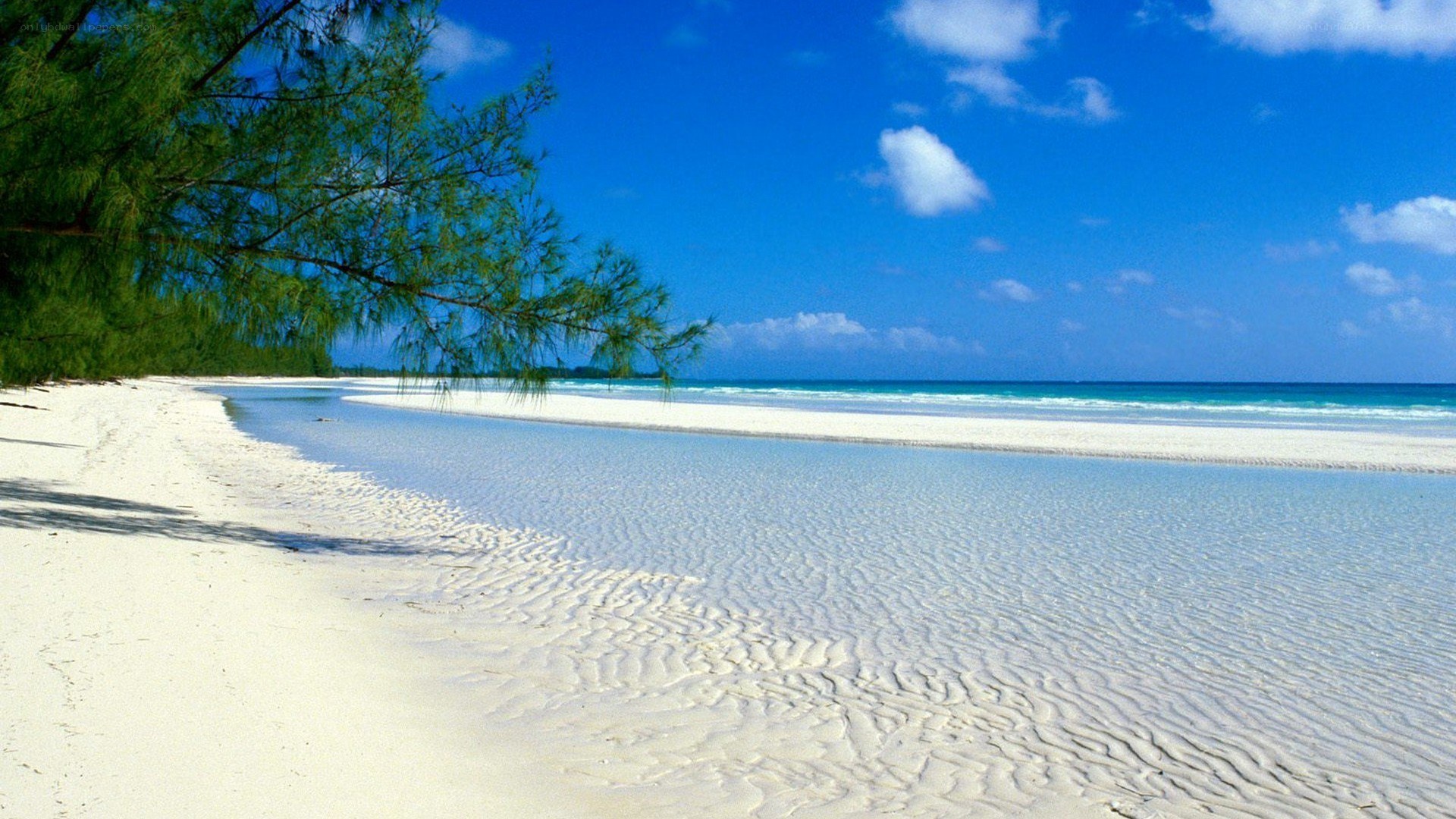 tropical beach with clear water