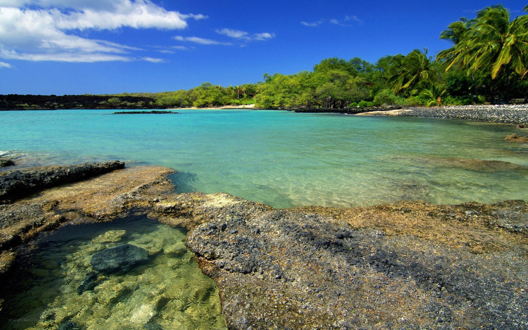 tropical beach with clear water