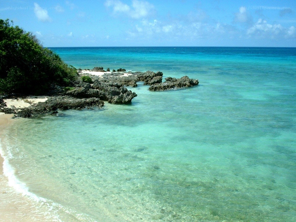 tropical beach with clear water