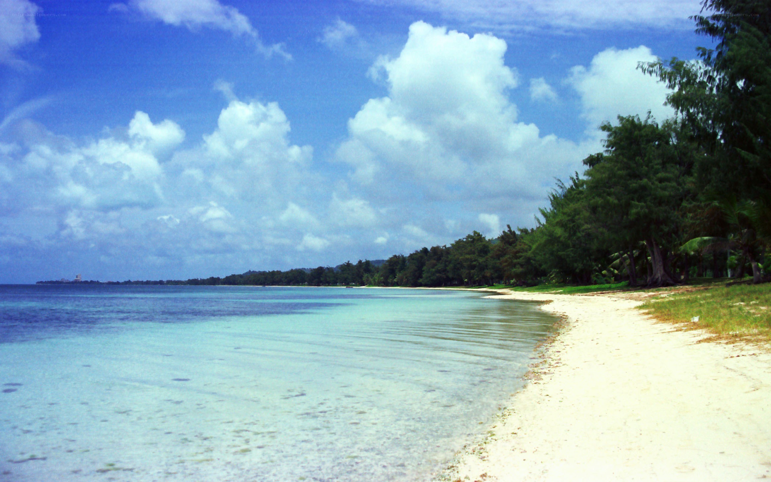 tropical beach with clear water