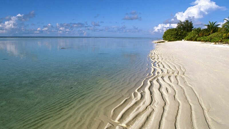 tropical beach with clear water