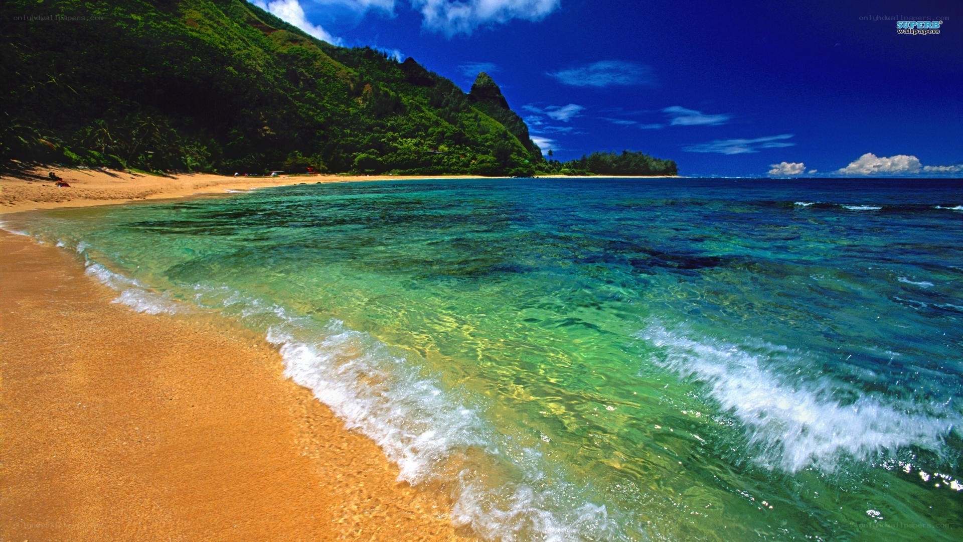 Tropical beach with clear water