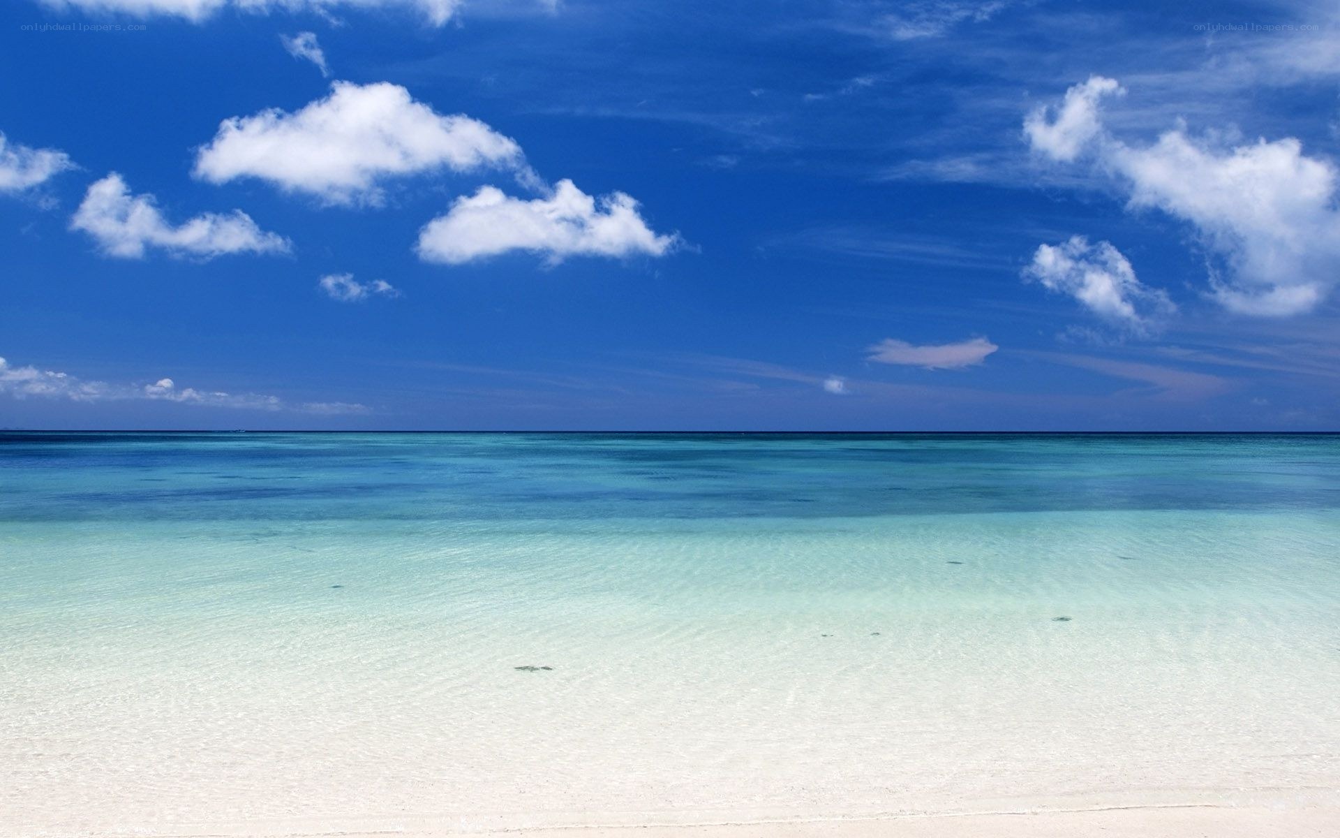 tropical beach with clear water
