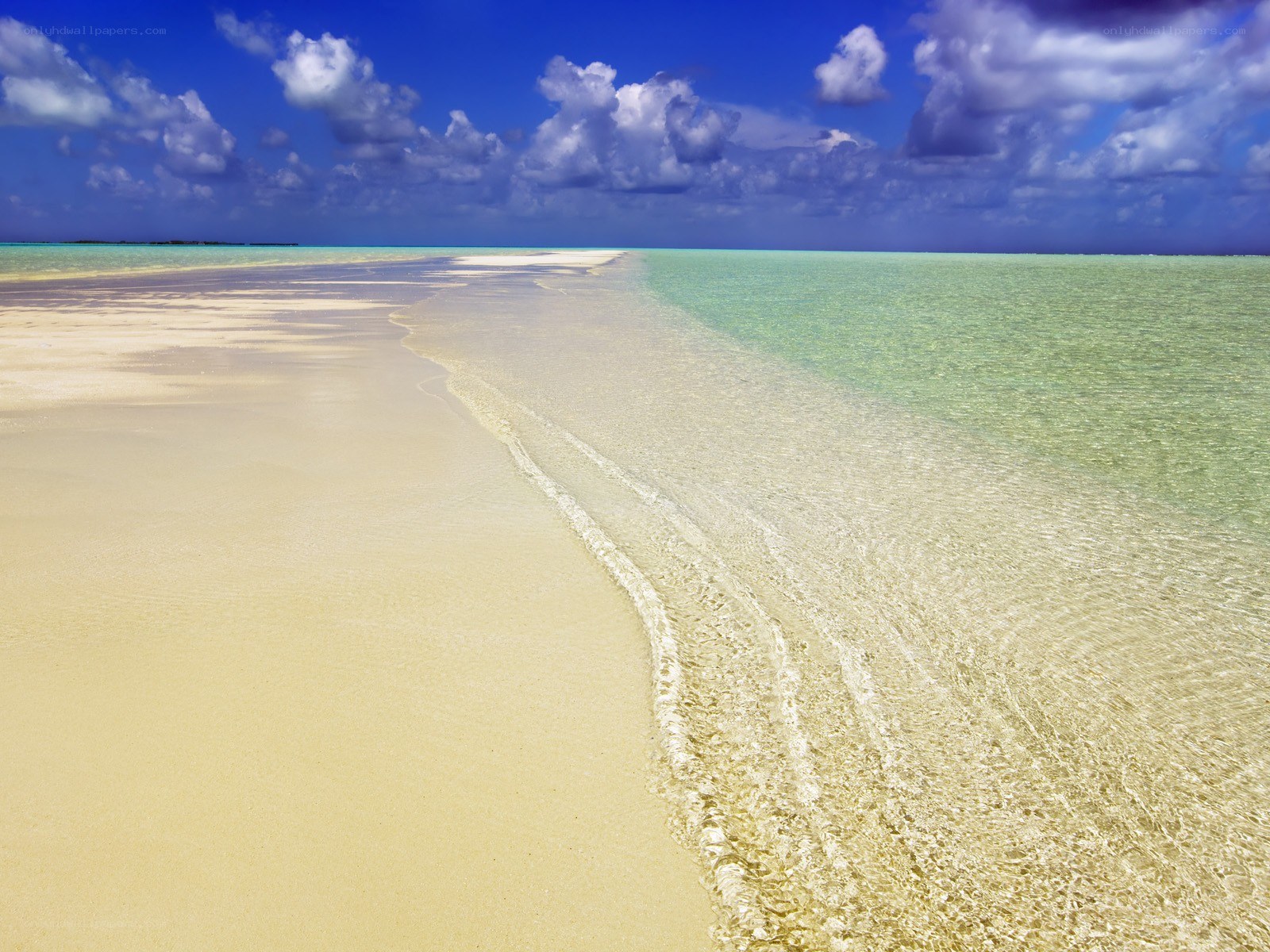 tropical beach with clear water