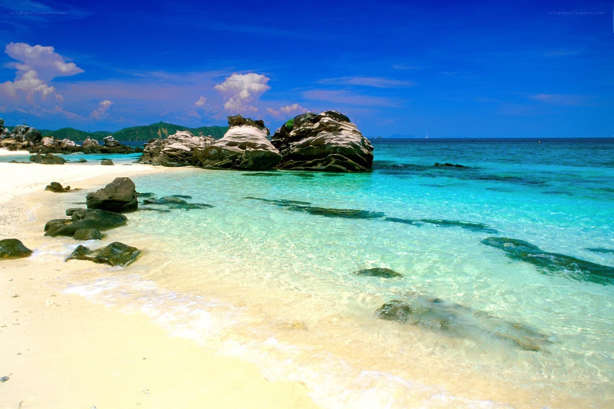 tropical beach with clear water
