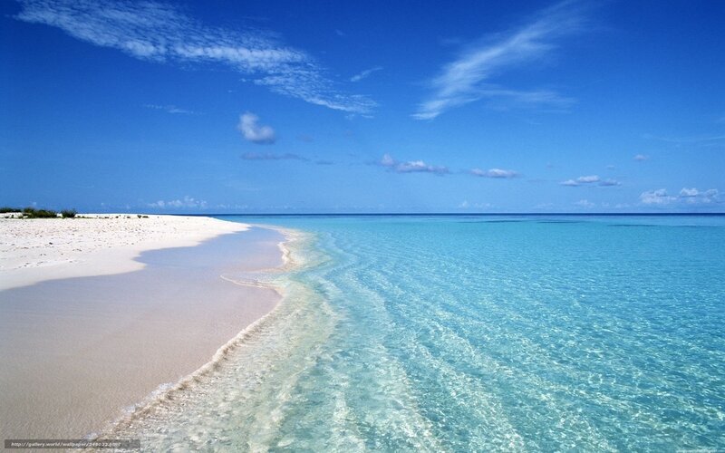 tropical beach with clear water