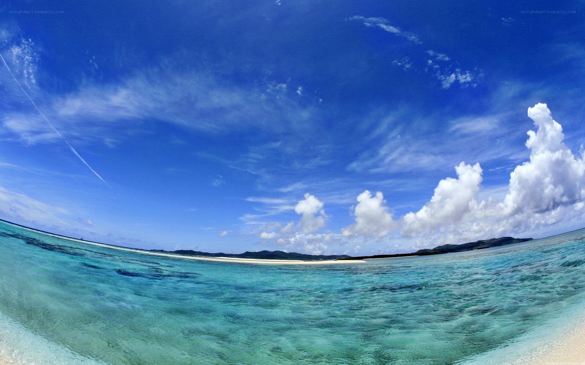 tropical beach with clear water