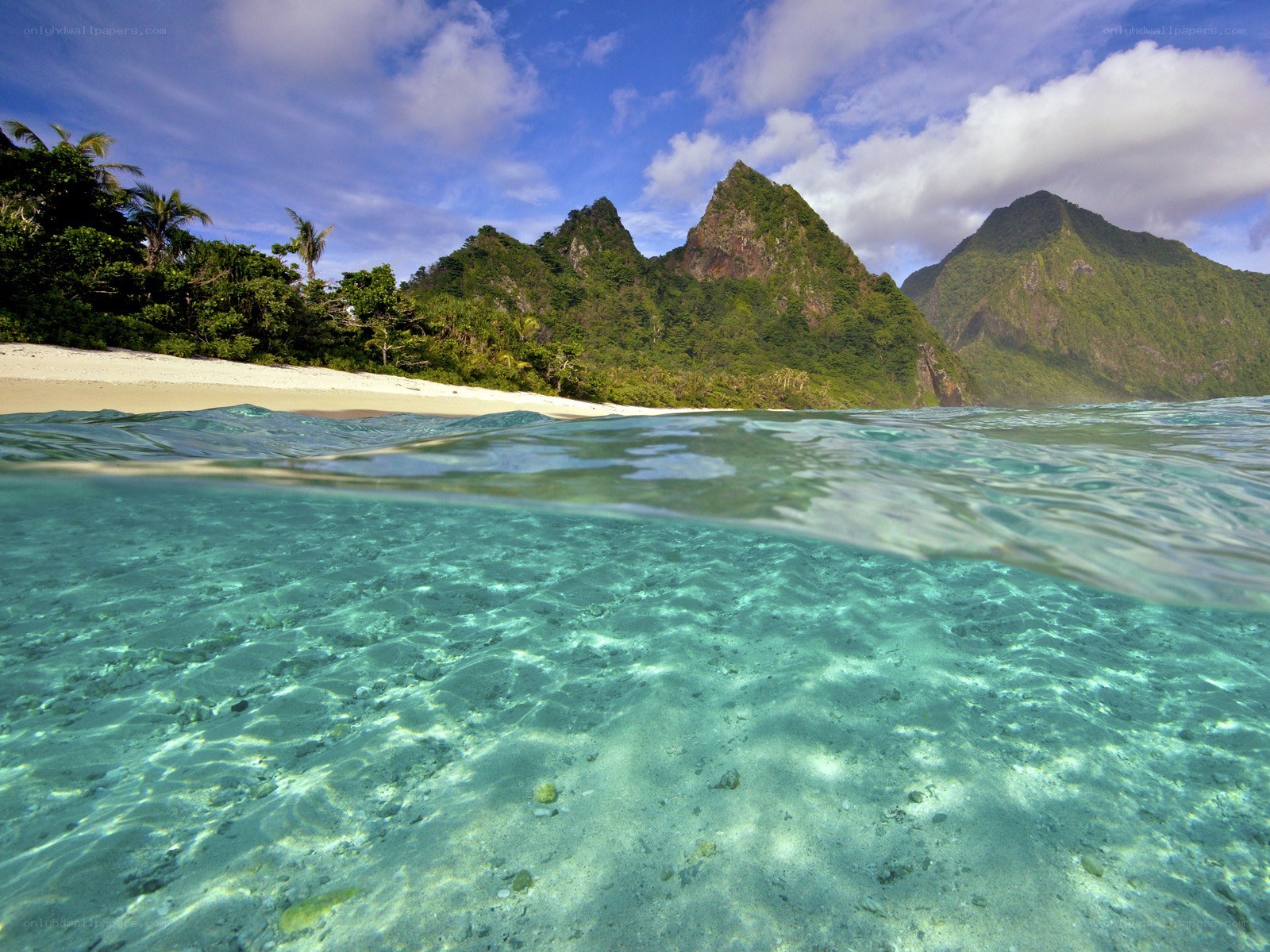tropical beach with clear water