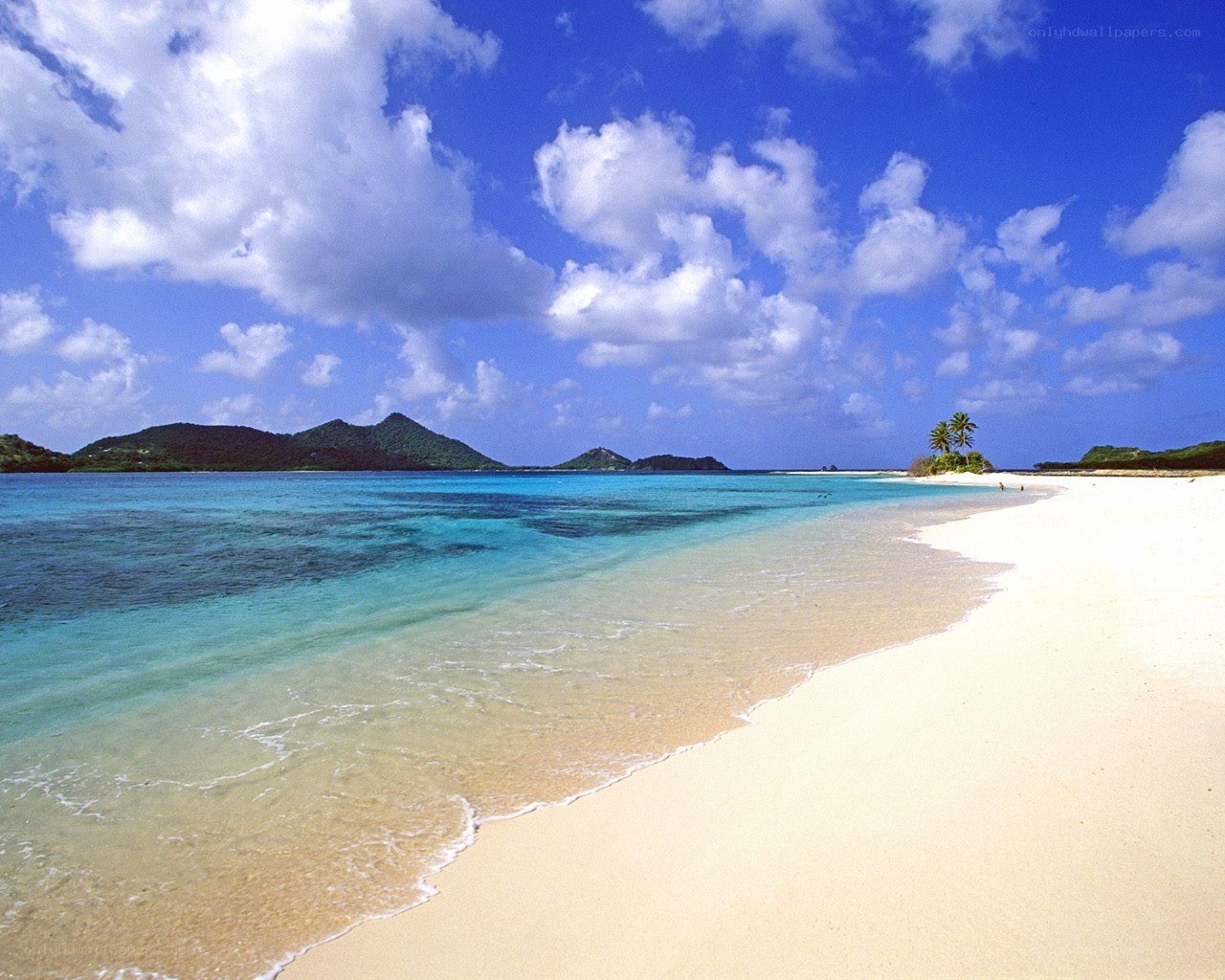 tropical beach with clear water
