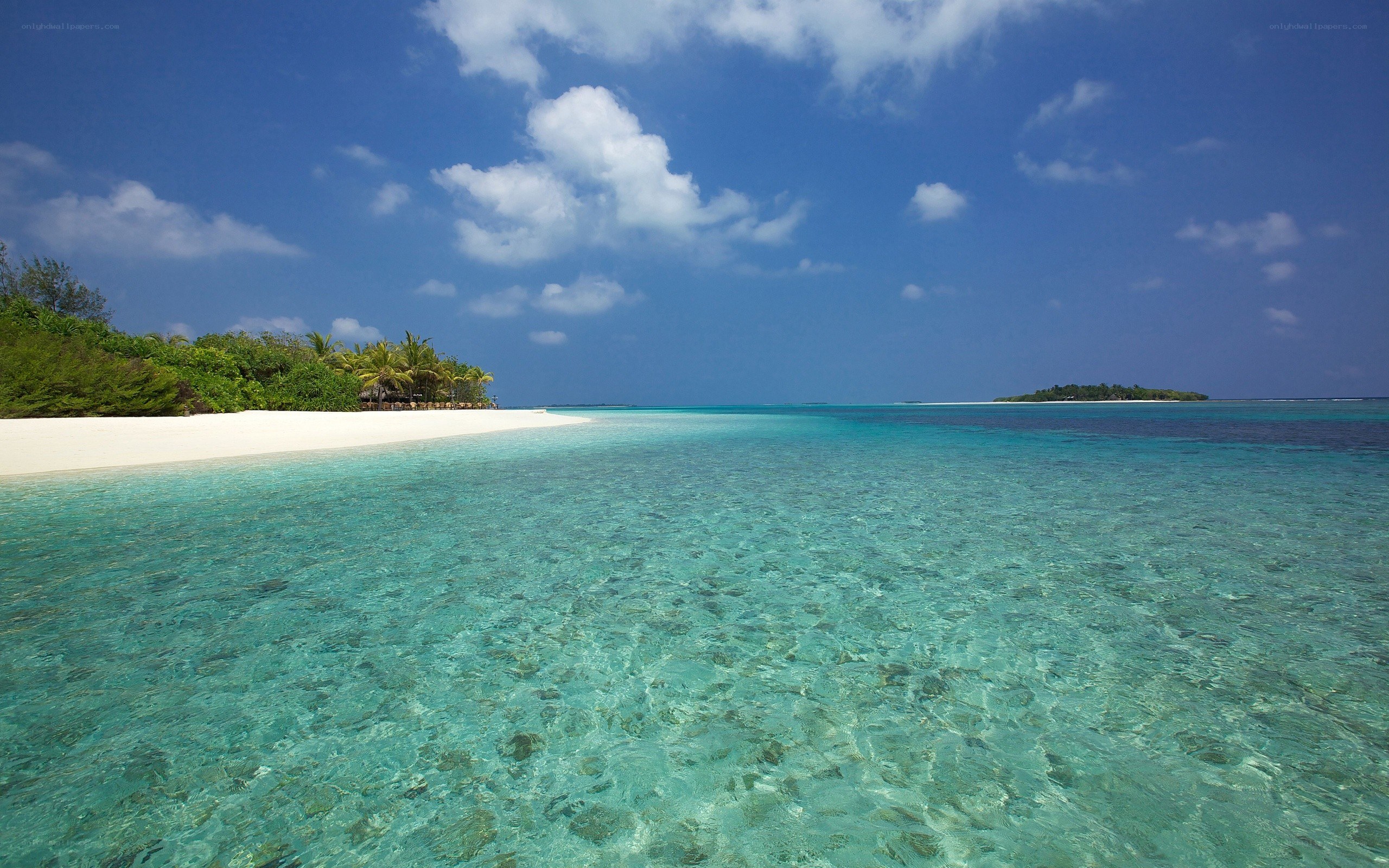 tropical beach with clear water