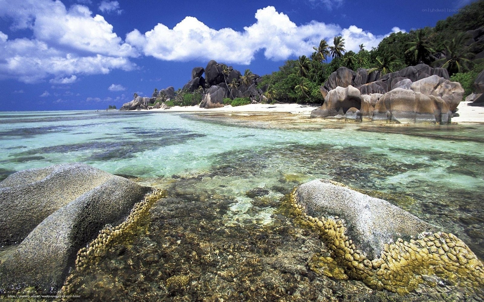 tropical beach with clear water