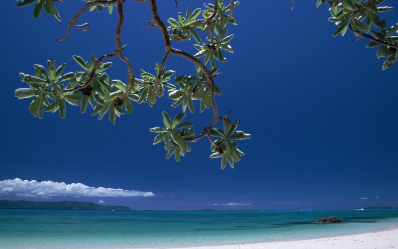 Tropical beach with clear water