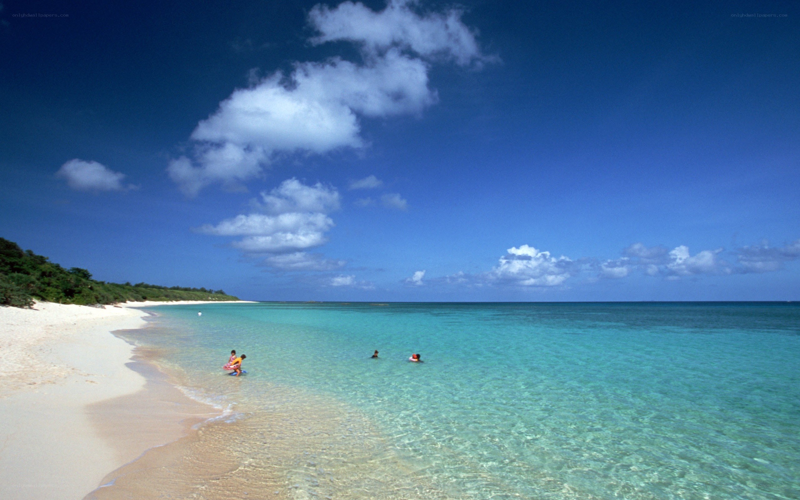 tropical beach with clear water