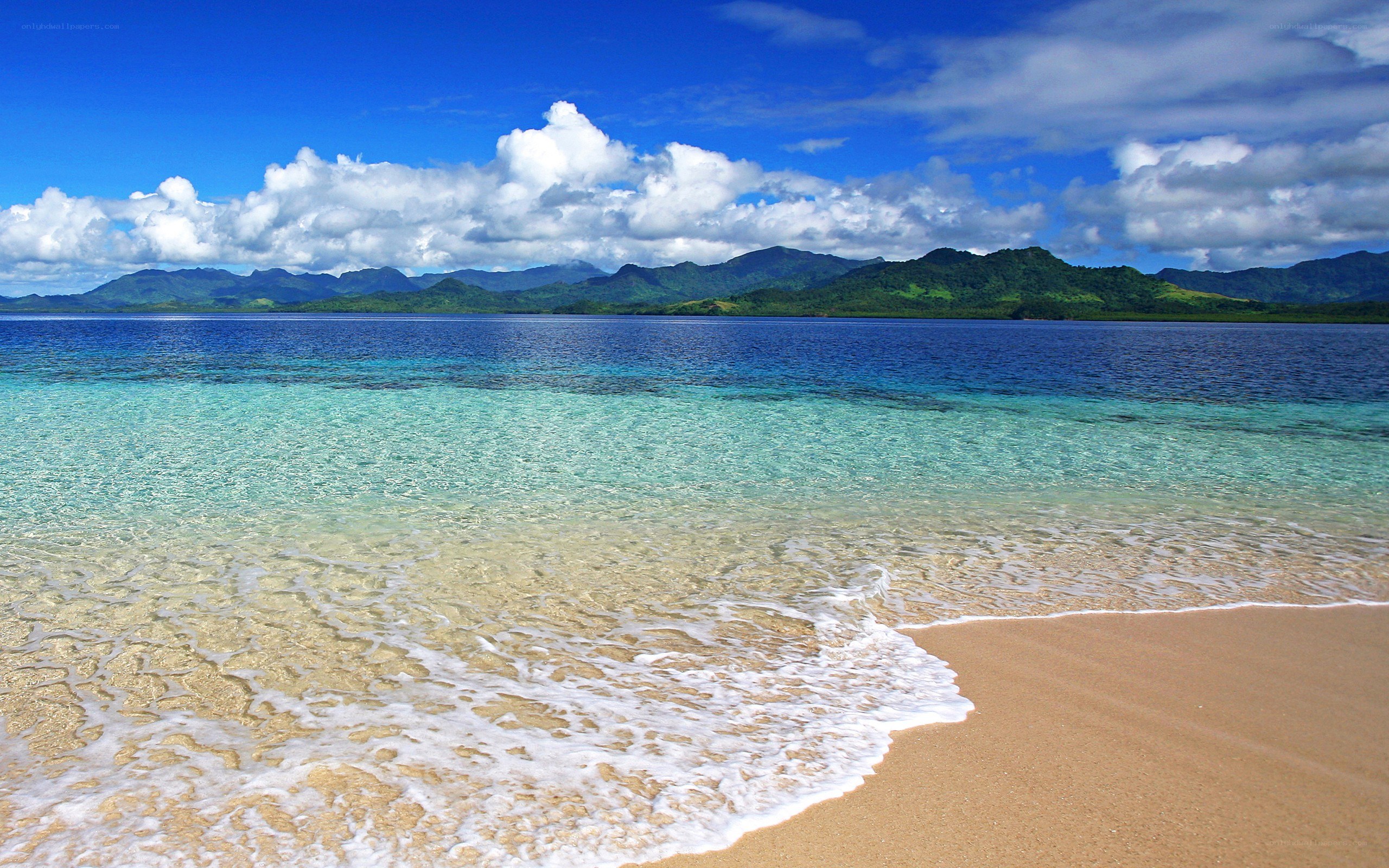 tropical beach with clear water
