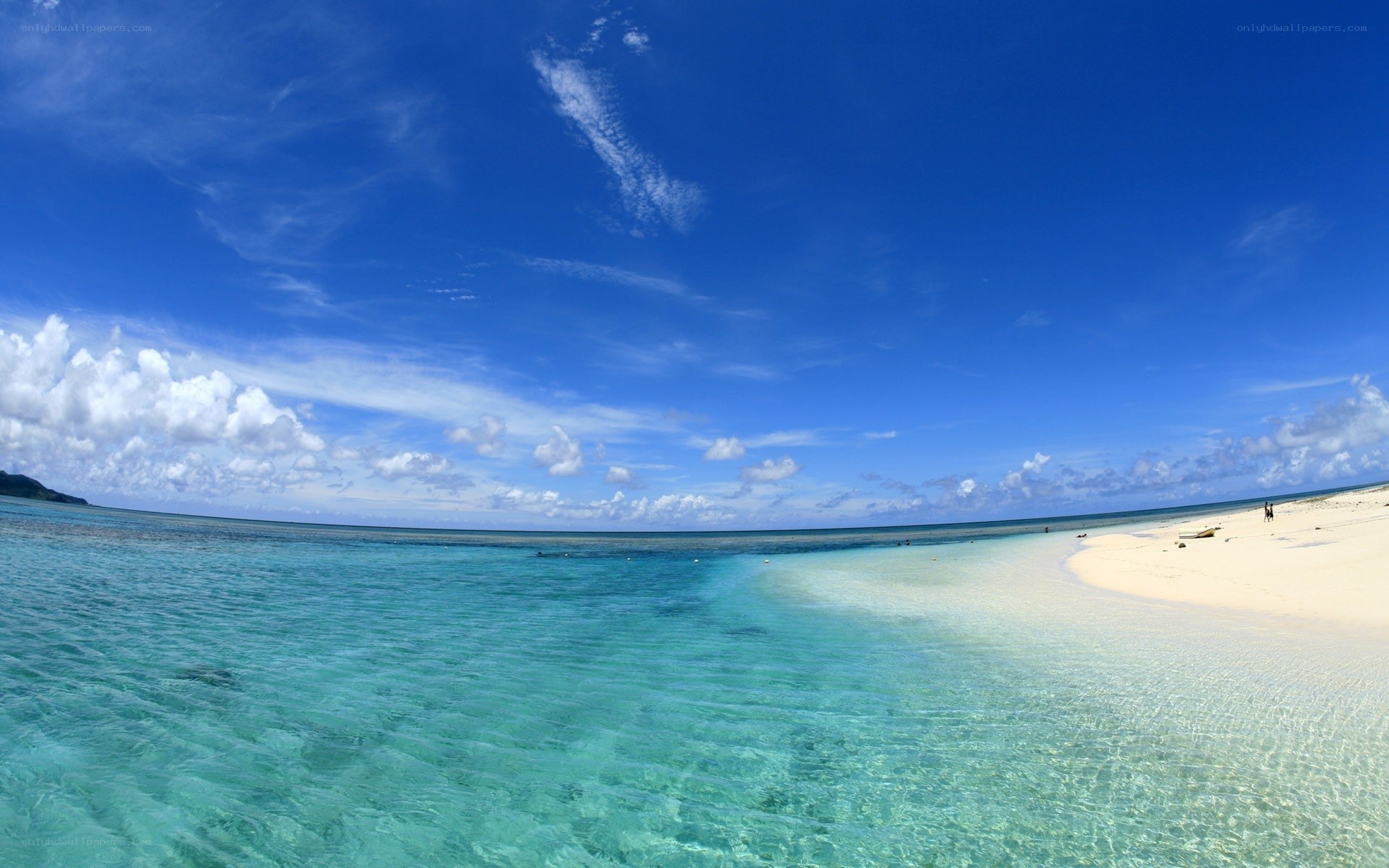 tropical beach with clear water
